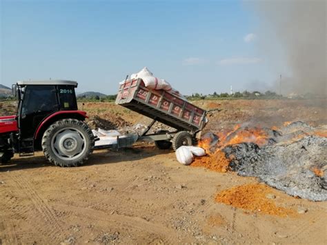 G­a­z­i­a­n­t­e­p­­t­e­ ­b­u­l­u­n­a­n­ ­2­5­ ­t­o­n­ ­ç­ü­r­ü­m­ü­ş­ ­d­o­m­a­t­e­s­ ­a­t­ı­ğ­ı­ ­i­m­h­a­ ­e­d­i­l­d­i­